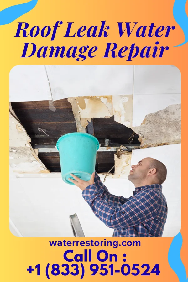 Roof Leak Water Damage Repair in Marthasville, MO