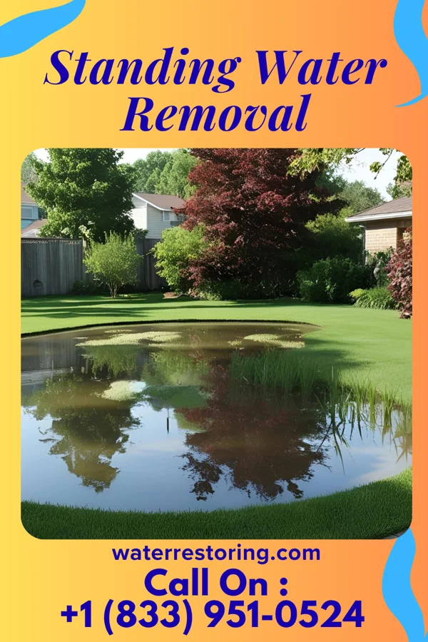 Standing Water Removal in Marthasville, MO
